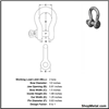 Picture of CHICAGO 1/2" BOLT MID SHACKLE