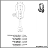 Picture of 5/16" SCREW PIN SHACKLE HDG