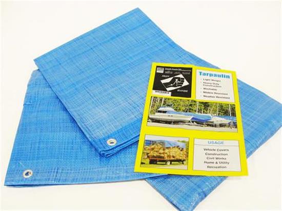 Picture of 10'x12' BLUE POLY TARP 5MIL