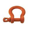 Picture of 1-1/4" SCREW PIN SHACKLE CM