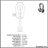 Picture of 3/4" SAFETY ANCHOR SHACKLE HDG